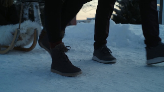 Video Reference N1: Footwear, Shoe, Knee, Thigh, Snow, Grey, Street fashion, Wood, Freezing, Tree