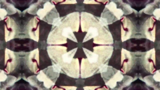 Video Reference N16: Toy, Organism, Creative arts, Art, Symmetry, Flooring, Pattern, Tints and shades, Wood, Font