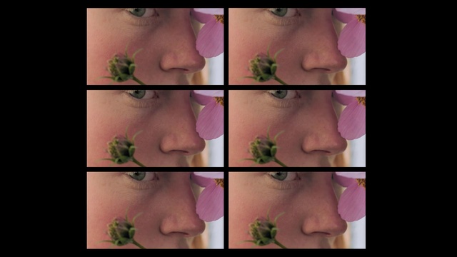 Video Reference N1: Nose, Cheek, Skin, Lip, Mouth, Eyebrow, Plant, Eyelash, Muscle, Human