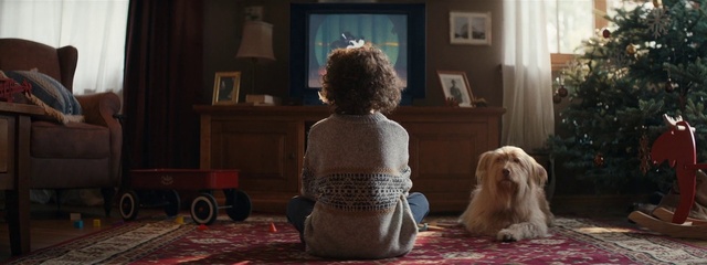 Video Reference N2: Dog, Picture frame, Comfort, Chair, Wood, Window, Floor, Carnivore, Flooring, Companion dog