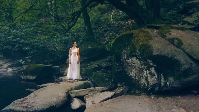 Video Reference N4: Plant, Tree, Bridal clothing, Flash photography, Wedding dress, Dress, People in nature, Sunlight, Wood, Happy