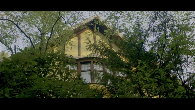 Video Reference N0: Building, Window, Plant, Sky, Tree, Twig, House, Land lot, Flower, Cottage