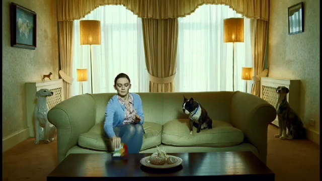 Video Reference N0: Table, Furniture, Dog, Property, Couch, Smile, Window, Comfort, Picture frame, Curtain