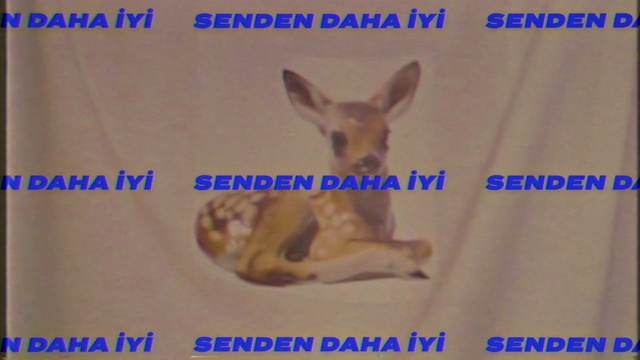 Video Reference N0: Jaw, Ear, Dog breed, Organism, Fawn, Font, Terrestrial animal, Sleeve, Adaptation, Happy