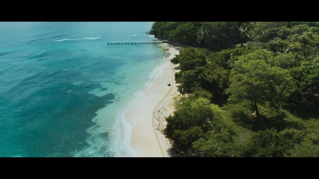 Video Reference N1: Water, Natural landscape, Beach, Tree, Coastal and oceanic landforms, Landscape, Travel, Plant, Horizon, Shore