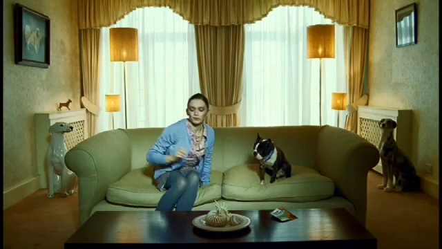 Video Reference N2: Table, Dog, Furniture, Property, Couch, Window, Comfort, Picture frame, Curtain, Smile