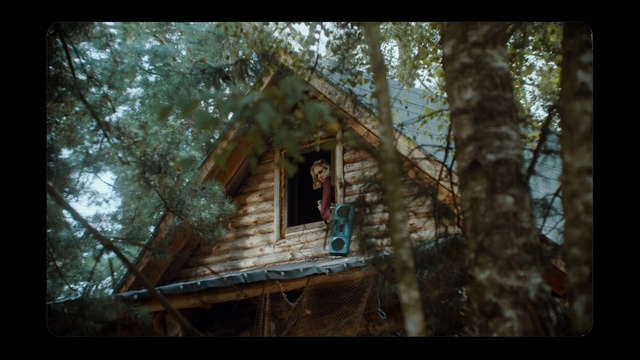 Video Reference N6: Plant, Window, Building, Tree, Wood, Twig, House, Trunk, Cottage, Tree house