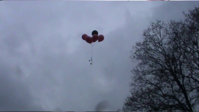 Video Reference N1: Cloud, Sky, Parachute, Tree, Natural landscape, Parachuting, Twig, Event, Meteorological phenomenon, Wing