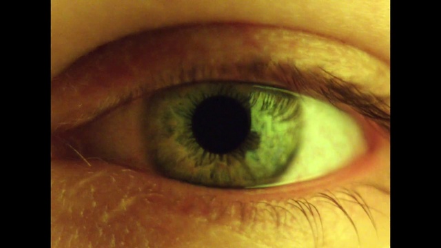 Video Reference N2: Brown, Eye, Eyelash, Iris, Lens, Nerve, Tints and shades, Cameras & optics, Circle, Wrinkle