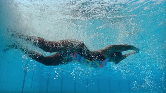 Video Reference N8: Water, Vertebrate, Swimmer, Medley swimming, Fluid, Recreation, Freestyle swimming, Endurance sports, Sports, Leisure