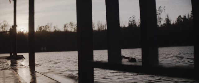 Video Reference N1: Sky, Water, Wood, Tree, Black-and-white, Sunlight, Shade, Style, Atmospheric phenomenon, Natural landscape