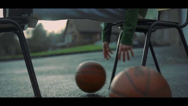 Video Reference N1: Plant, Sports equipment, Ball, Automotive mirror, Basketball, Wood, Automotive lighting, Audio equipment, Rear-view mirror, Tints and shades
