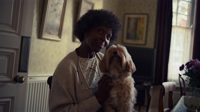 Video Reference N0: Dog, Picture frame, Fawn, Dog breed, Carnivore, Jheri curl, Companion dog, Snout, Chair, Comfort