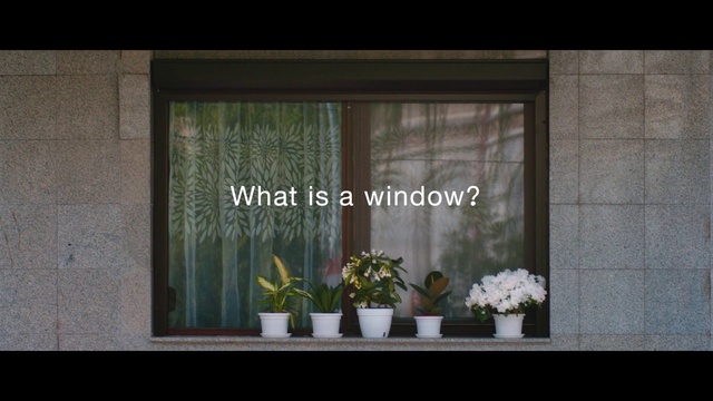 Video Reference N0: Plant, Flower, Window, Flowerpot, Houseplant, Fixture, Rectangle, Wood, Vase, Curtain