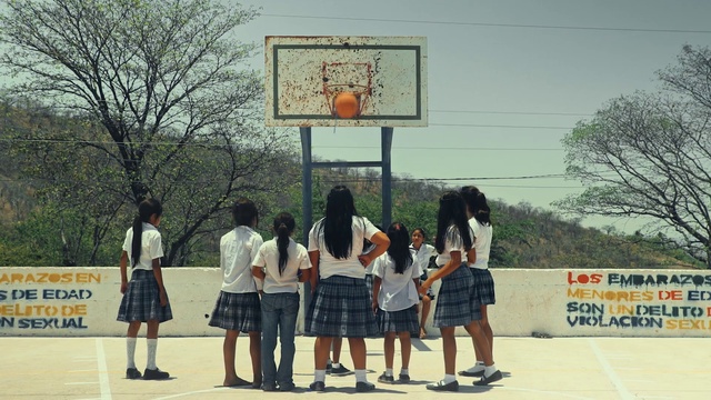 Video Reference N1: Footwear, Basketball, Shorts, Basketball hoop, Streetball, Vertebrate, Plant, Tree, Basketball court, Mammal