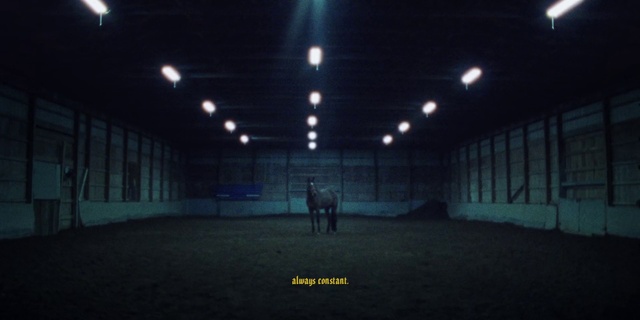 Video Reference N4: Mammal, Horse, Floor, Midnight, Urban area, Flooring, Symmetry, Darkness, Electric blue, Event