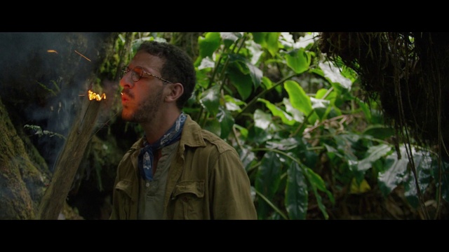 Video Reference N2: Beard, Plant, Flash photography, People in nature, Gesture, Military person, Terrestrial plant, Military uniform, Military camouflage, Eyewear