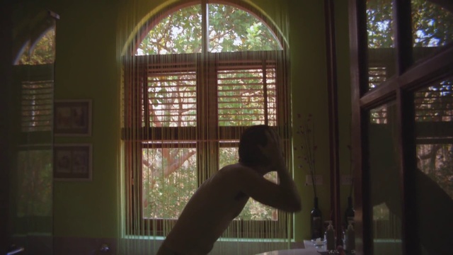 Video Reference N1: Window, Wood, Plant, Sunlight, Tree, House, Morning, Tints and shades, Glass, Darkness