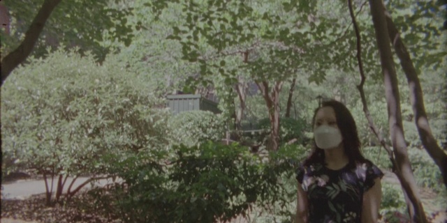 Video Reference N1: Hair, Plant, Flash photography, Tree, Twig, Dress, People in nature, Wood, Fawn, Trunk