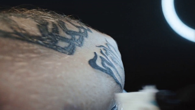 Video Reference N2: Eyelash, Jaw, Neck, Beard, Feather, Temporary tattoo, Wrist, Elbow, Trunk, Chest