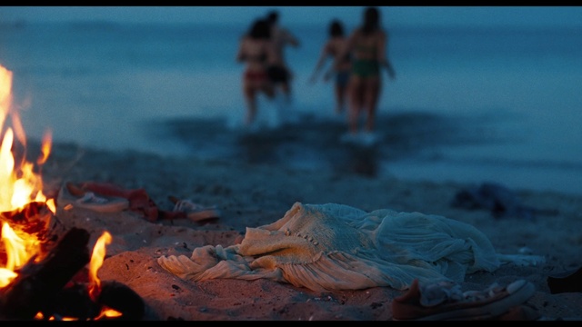 Video Reference N1: Water, Light, Beach, Wood, Bonfire, People on beach, Gas, Fun, Horizon, Landscape