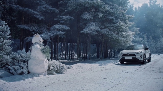 Video Reference N5: Snowman, Snow, Automotive tire, Automotive lighting, Tire, Vehicle, Motor vehicle, Car, Natural environment, Tree