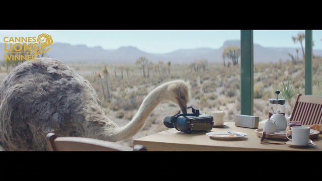 Video Reference N2: Sky, Tableware, Plant, Landscape, Table, Mountain, Serveware, Happy, Event, Travel