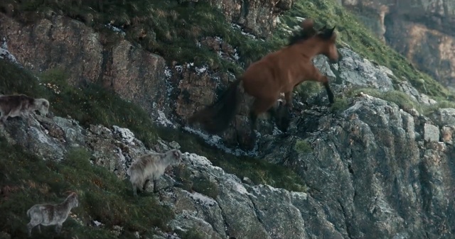 Video Reference N0: Mountain, Plant, Bedrock, Terrestrial animal, Slope, Goat-antelope, Goat, Outcrop, Goats, Rock