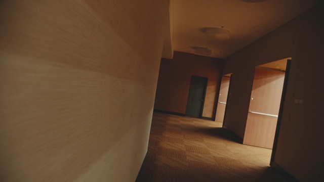 Video Reference N1: Building, Wood, Interior design, Floor, Fixture, Flooring, Ceiling, Hardwood, Hall, Tints and shades