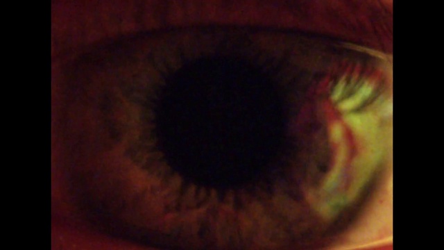 Video Reference N3: Eye, Eyelash, Human body, Iris, Art, Rectangle, Tints and shades, Painting, Circle, Symmetry