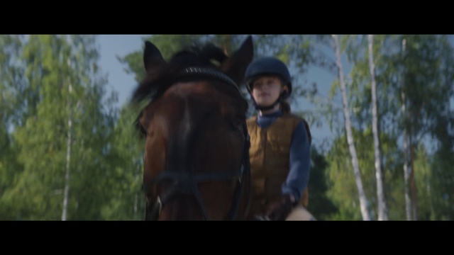 Video Reference N3: Horse, Helmet, Equestrian helmet, Tree, Horse tack, Working animal, Bridle, Horse supplies, Sorrel, Liver