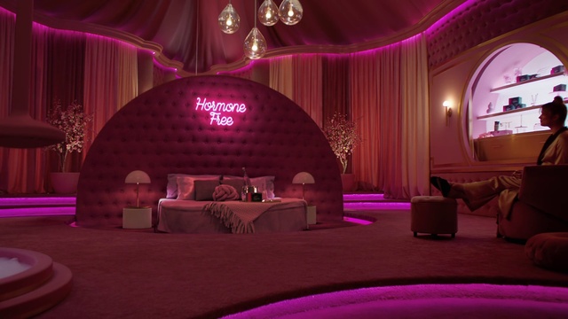 Video Reference N0: Decoration, Purple, Textile, Lighting, Entertainment, Interior design, Violet, Pink, Building, Red