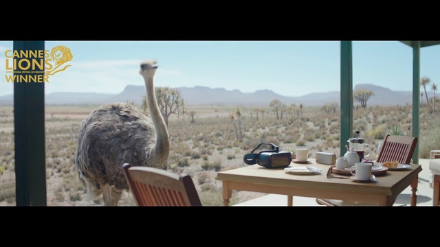 Video Reference N1: Sky, Table, Plant, Furniture, Ratite, Camel, Window, Mountain, Wood, Chair