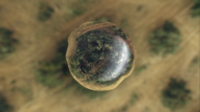 Thumbnail