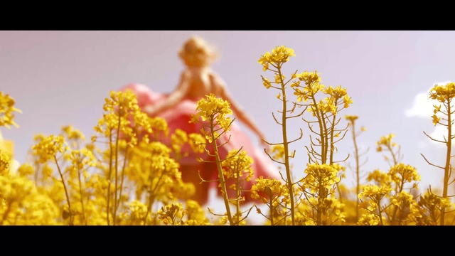 Video Reference N0: Flower, Sky, Plant, People in nature, Yellow, Petal, Grass, Natural landscape, Flowering plant, Meadow