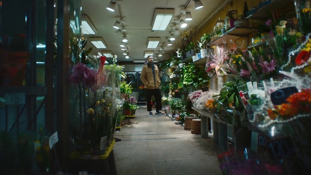Video Reference N1: Plant, Selling, Retail, Market, City, Trade, Natural foods, Floristry, Road, Shopping
