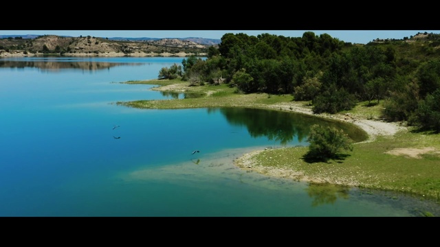 Video Reference N2: Water, Plant, Natural landscape, Rectangle, Fluvial landforms of streams, Coastal and oceanic landforms, Tree, Lake, Grass, Bank