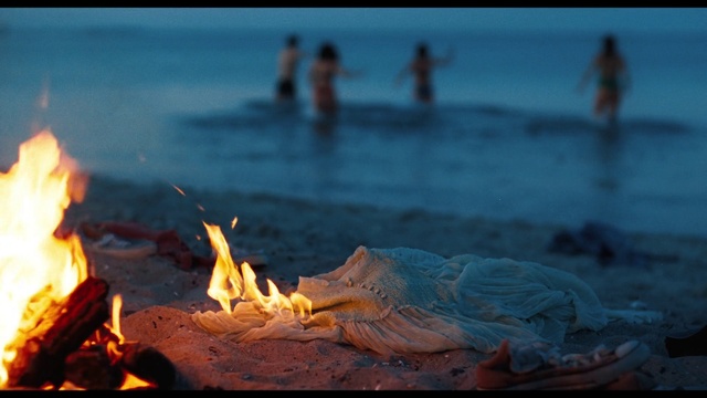 Video Reference N0: Water, Light, Wood, Beach, Bonfire, Gas, Fire, Tree, Heat, Horizon