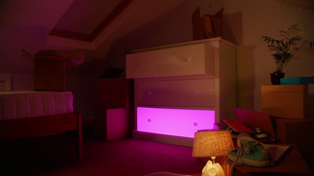 Video Reference N1: Plant, Purple, Building, Wood, Living room, Comfort, Interior design, Houseplant, Pink, Violet