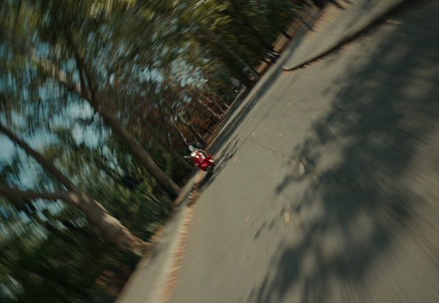 Video Reference N1: Plant, Water, Slope, Road surface, Tree, Twig, Asphalt, Grass, Wood, Tints and shades