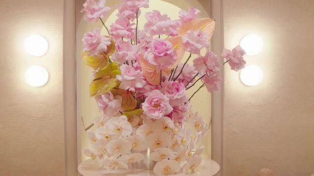 Video Reference N0: Flower, Plant, Petal, Window, Branch, Twig, Lighting, Creative arts, Pink, Flower Arranging