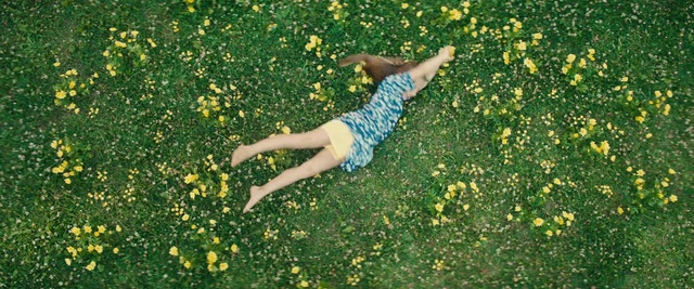 Video Reference N1: Flower, Plant, People in nature, Green, Nature, Happy, Gesture, Sunlight, Grass, Thigh
