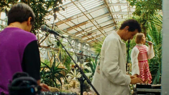 Video Reference N18: Shirt, Plant, Botany, Temple, Organism, Greenhouse, Public space, Leisure, Adaptation, Tree