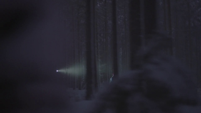 Video Reference N0: Fog, Tints and shades, Electric blue, Tree, Water, Automotive lighting, Midnight, Darkness, Event, Freezing