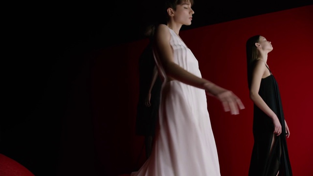 Video Reference N3: Shoulder, One-piece garment, Flash photography, Neck, Dress, Gesture, Performing arts, Entertainment, Waist, Gown