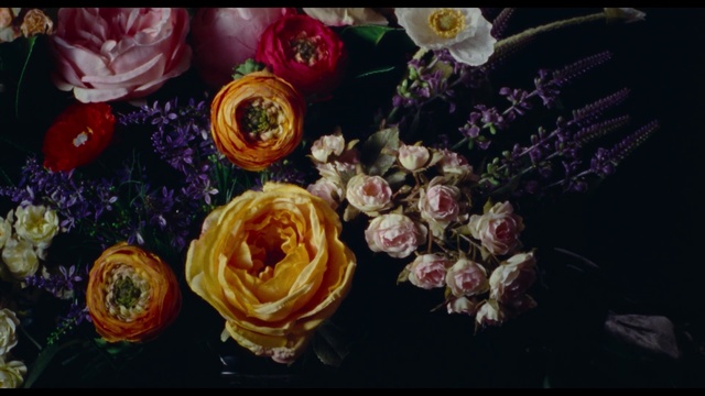 Video Reference N3: Flower, Petal, Hybrid tea rose, Flower Arranging, Bouquet, Plant, Artificial flower, Rose, Garden roses, Flowering plant