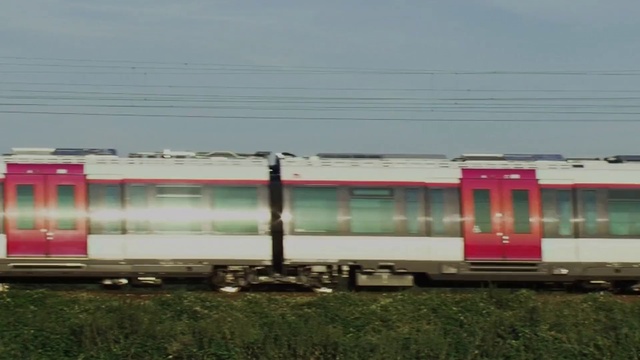 Video Reference N3: Train, Plant, Sky, Electricity, Mode of transport, Rolling stock, Rolling, Track, Railway, Tints and shades