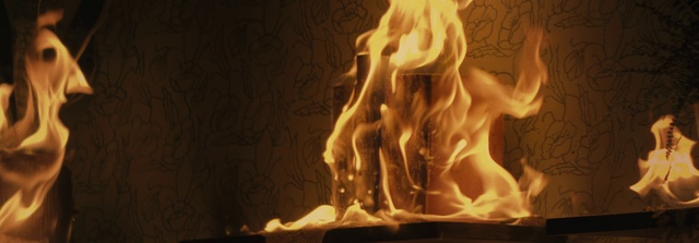 Video Reference N24: Flame, Wood, Art, Heat, Fire, Sculpture, Gas, Event, Darkness, Visual arts
