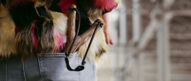 Video Reference N1: Street fashion, Fawn, Liver, Carnivore, Companion dog, Natural material, Snout, Magenta, Wig, Red hair