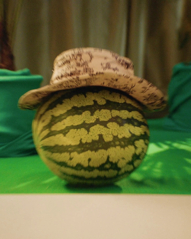 Video Reference N1: Hat, Table, Green, Organism, Wood, Headgear, Cap, Terrestrial plant, Tints and shades, Sombrero
